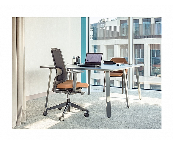 OGI desk collection